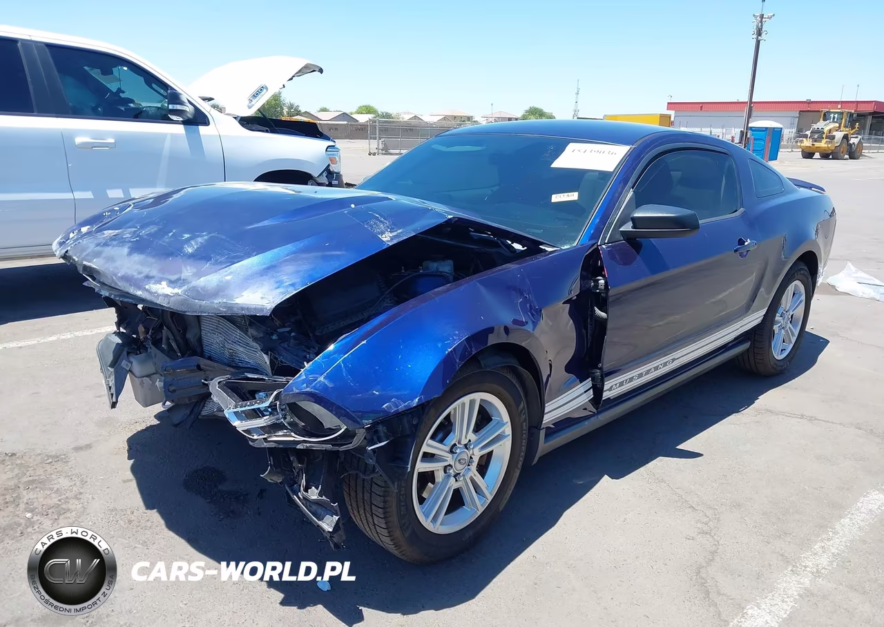 2011 Ford Mustang V6 VIN:1ZVBP8AM0B5136037 - 2