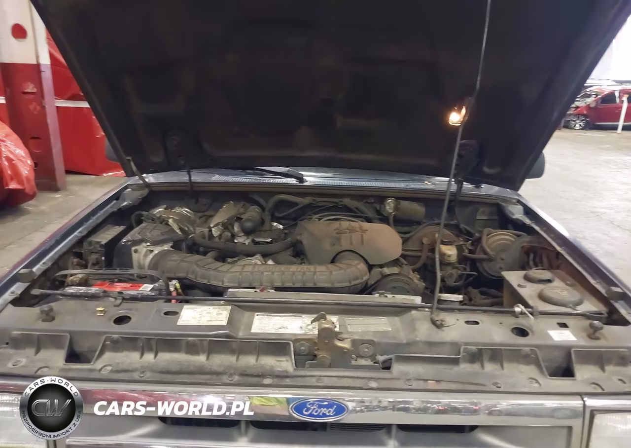 1992 Ford Explorer VIN:1FMDU34X0NUD94805 - 10