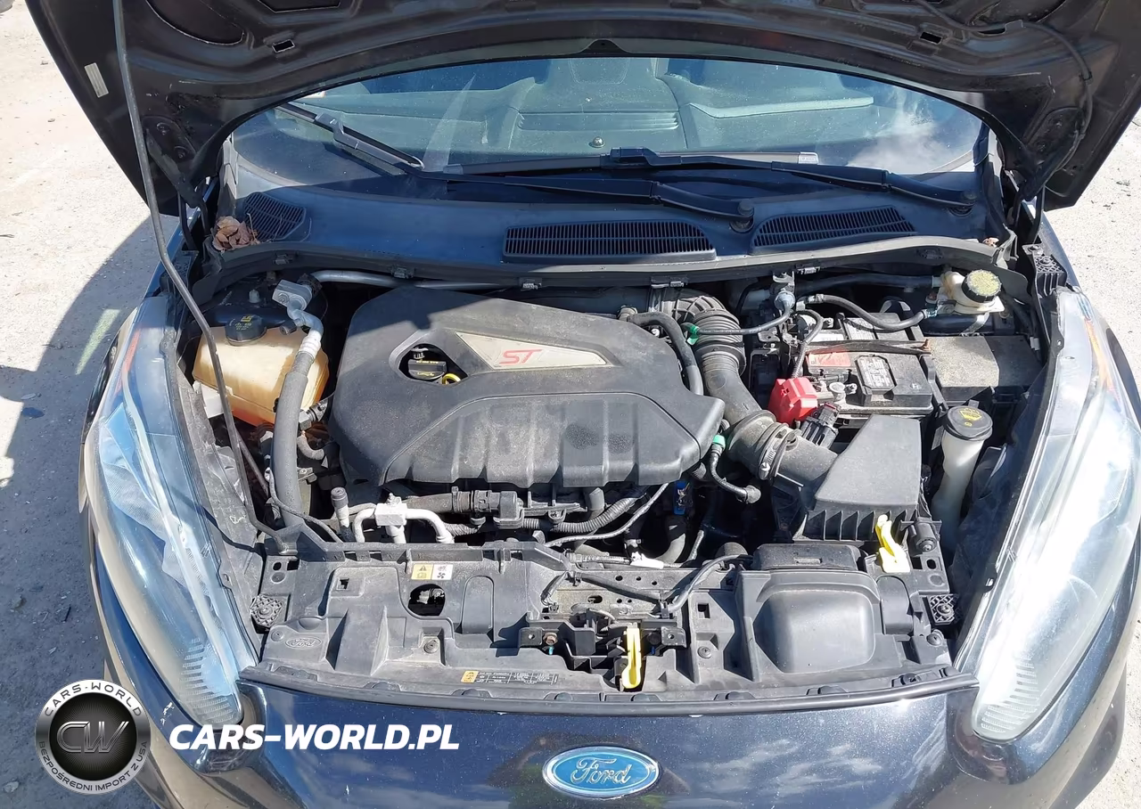 2015 Ford Fiesta St VIN:3FADP4GX1FM113412 - 10