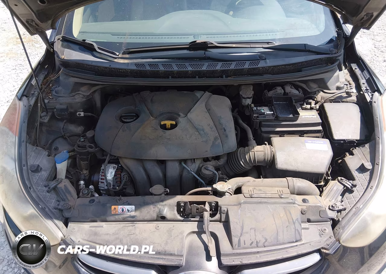 2013 Hyundai Elantra Limited VIN:KMHDH4AE6DU508897 - 10