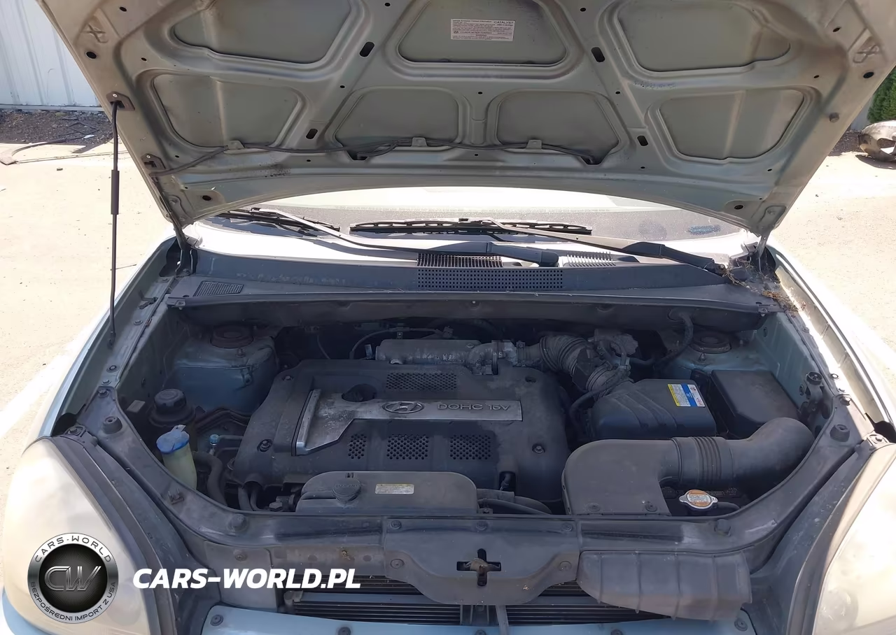 2007 Hyundai Tucson Gls VIN:KM8JM72B87U564638 - 10