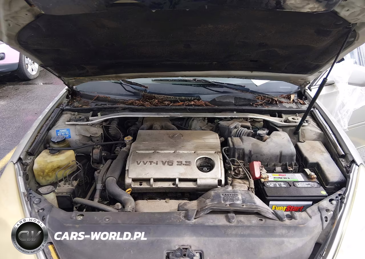2004 Lexus Es 330 VIN:JTHBA30G645015758 - 10