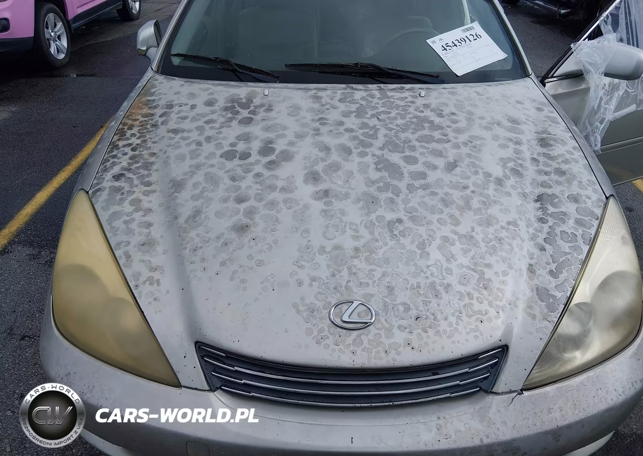 2004 Lexus Es 330 VIN:JTHBA30G645015758 - 6