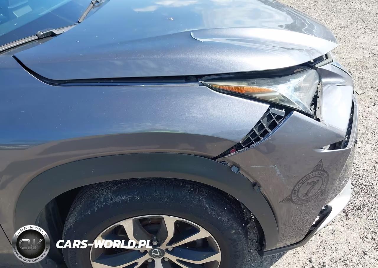 2015 Lexus Nx 200T F Sport VIN:JTJBARBZ9F2002071 - 18