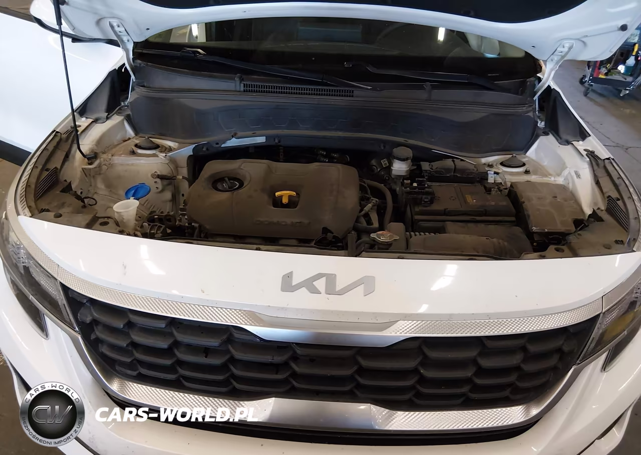 2022 Kia Seltos Lx VIN:KNDEPCAA0N7251772 - 10