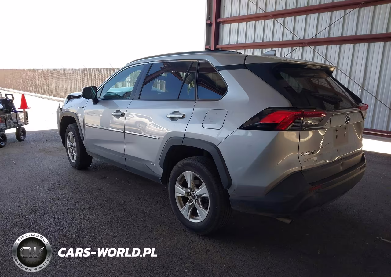 2019 Toyota Rav4 Hybrid Le VIN:2T3MWRFV7KW024494 - 3