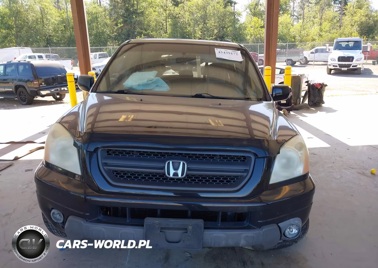 2004 Honda Pilot Ex VIN:5FNYF18484B001869 - 13