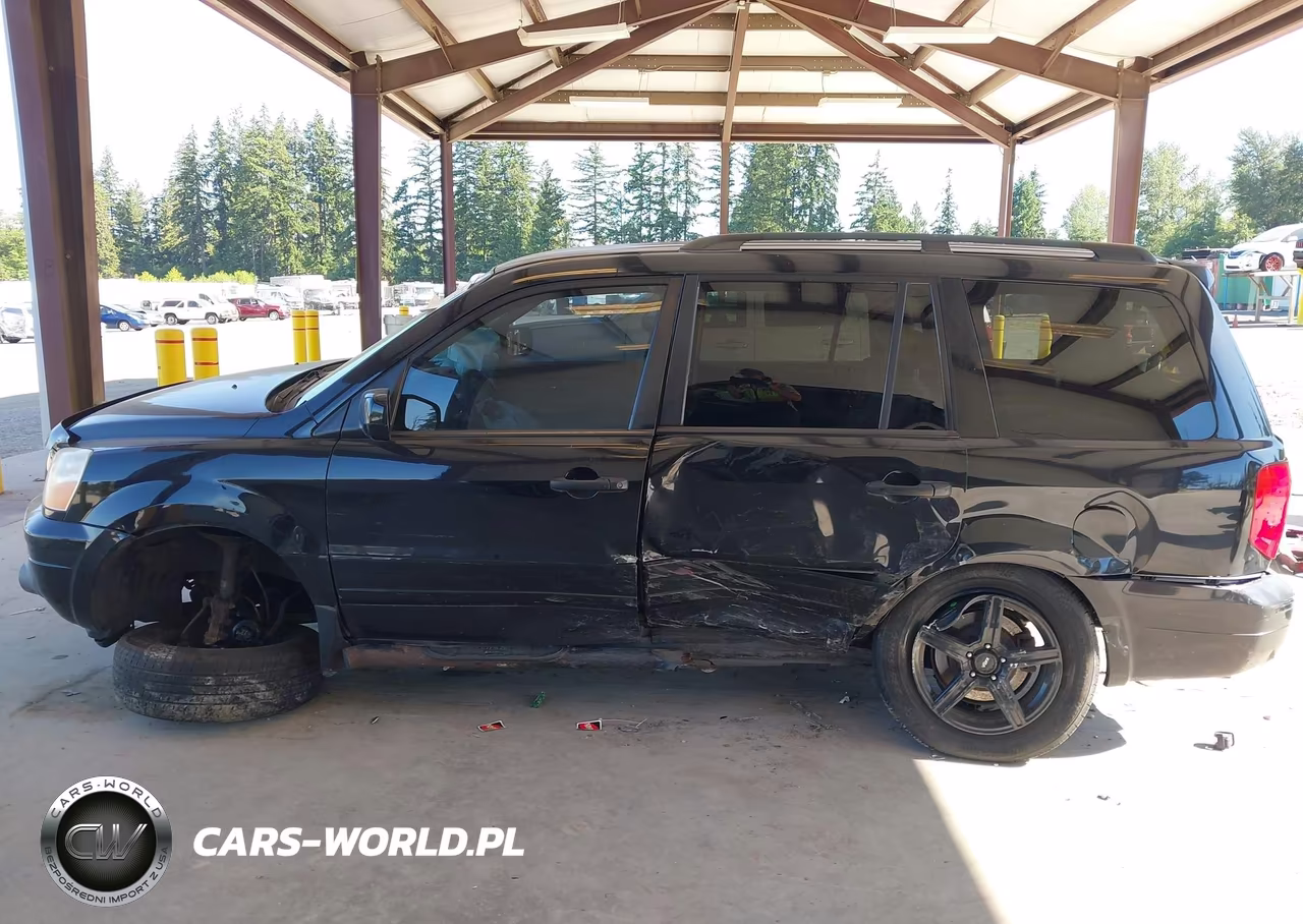 2004 Honda Pilot Ex VIN:5FNYF18484B001869 - 15
