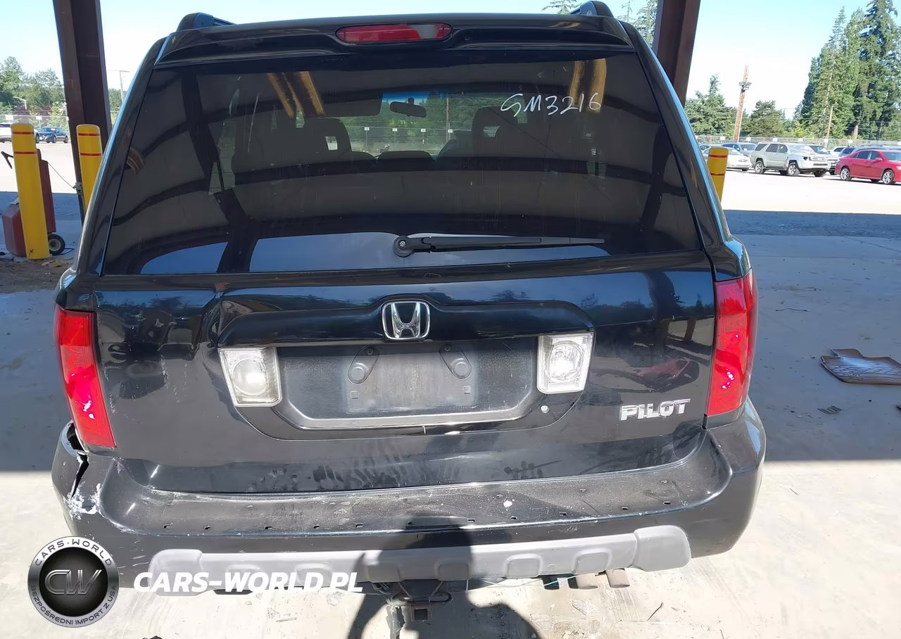 2004 Honda Pilot Ex VIN:5FNYF18484B001869 - 17