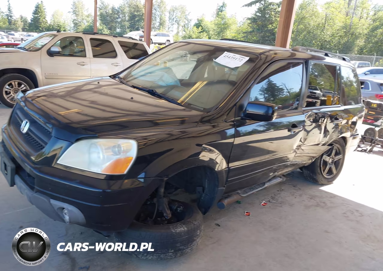 2004 Honda Pilot Ex VIN:5FNYF18484B001869 - 2