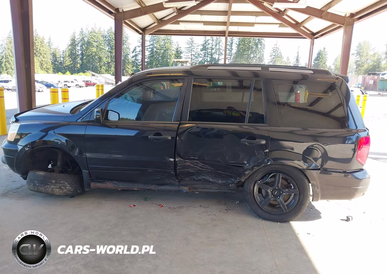 2004 Honda Pilot Ex VIN:5FNYF18484B001869 - 6
