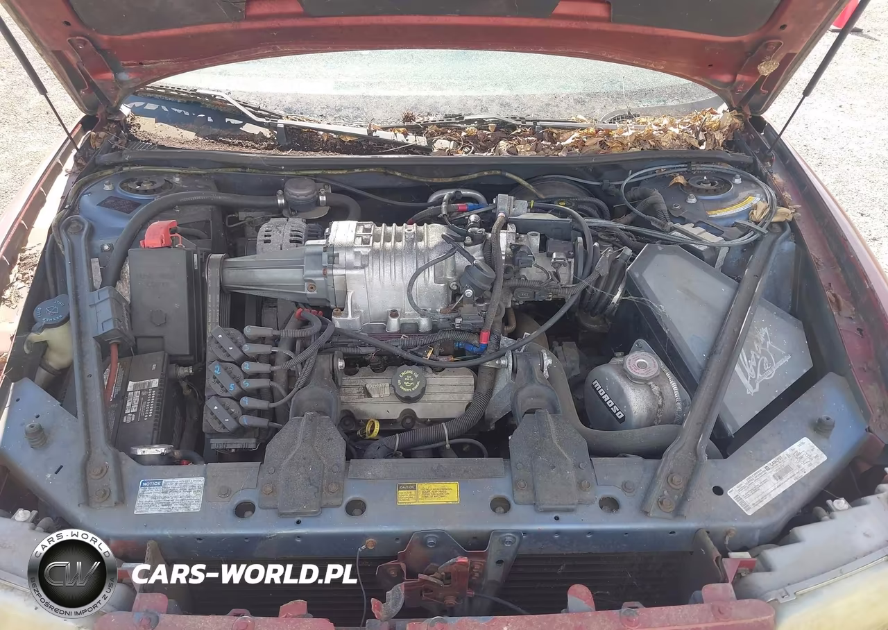 1998 Buick Regal Gs VIN:2G4WF5217W1432332 - 10