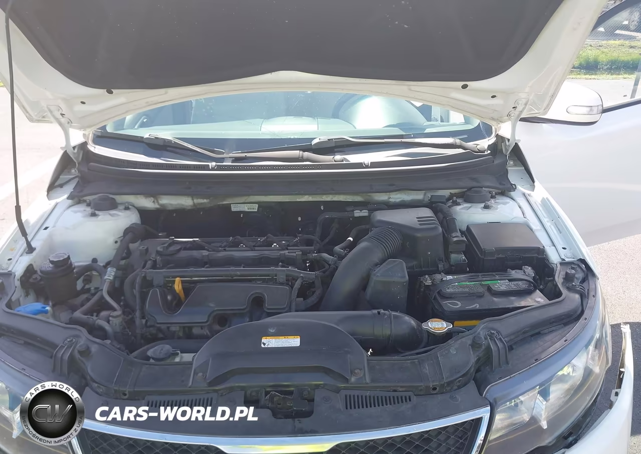 2010 Kia Forte Ex VIN:KNAFU4A22A5179438 - 10