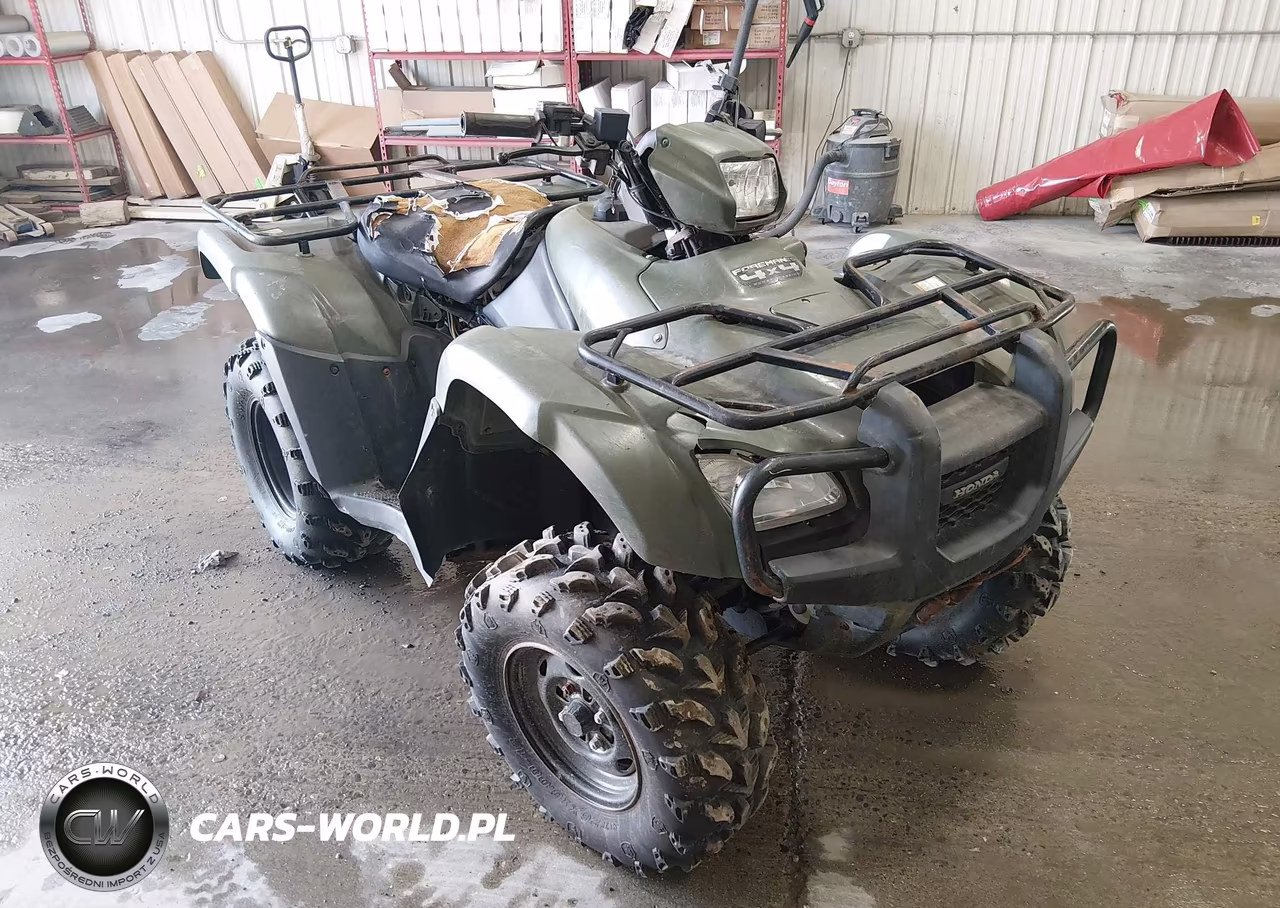2013 Honda Trx500 Fpe