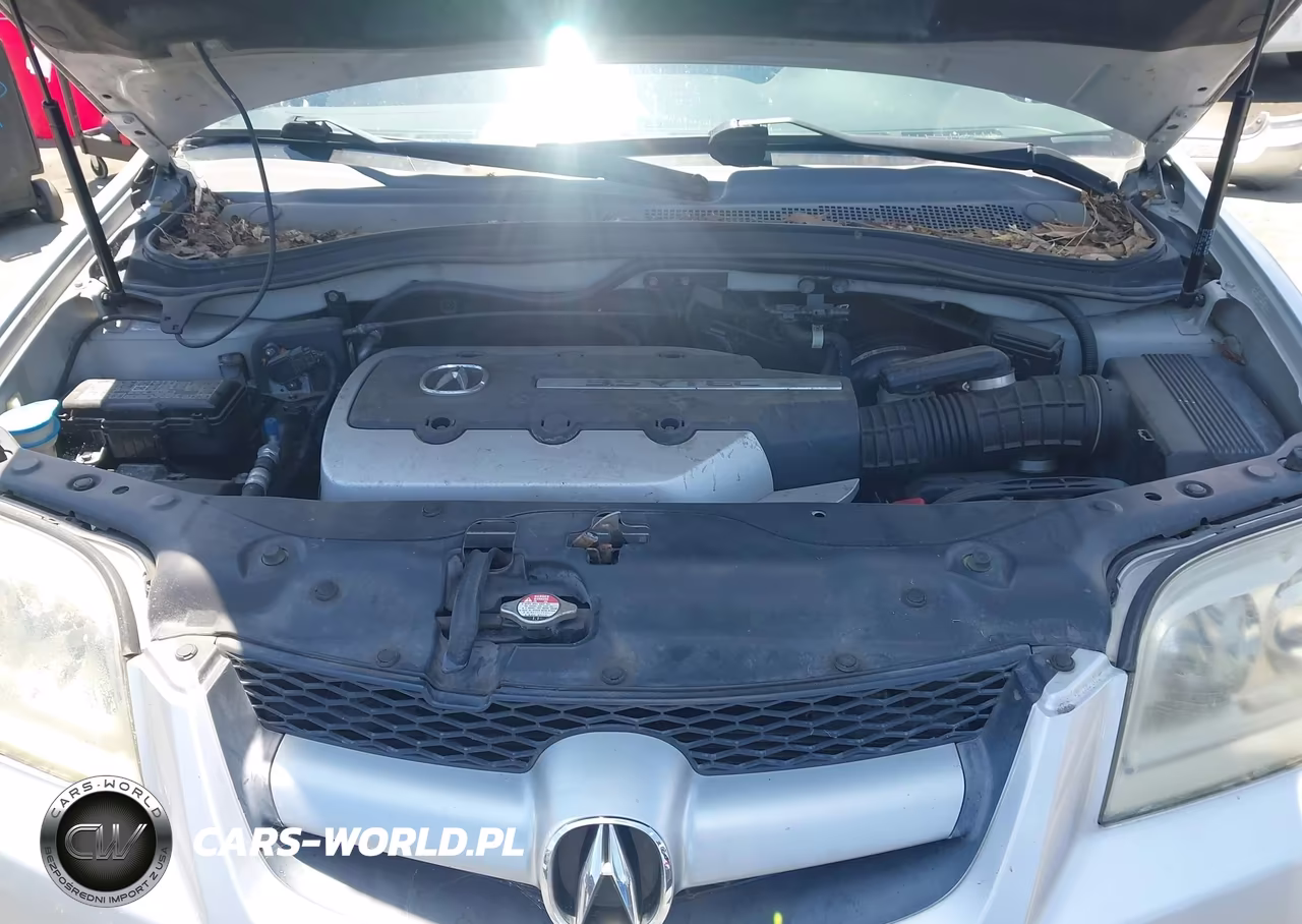 2006 Acura Mdx VIN:2HNYD18846H526119 - 10