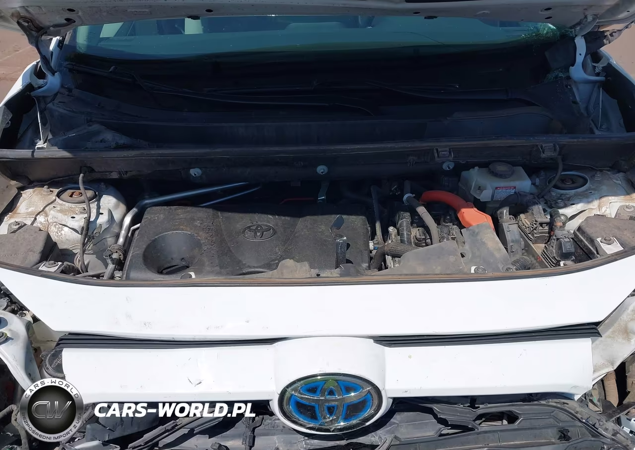 2019 Toyota Rav4 Hybrid Xle VIN:2T3RWRFV1KW025694 - 10