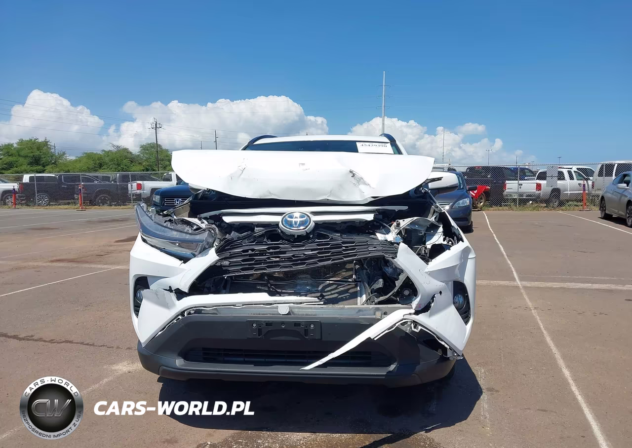 2019 Toyota Rav4 Hybrid Xle VIN:2T3RWRFV1KW025694 - 13