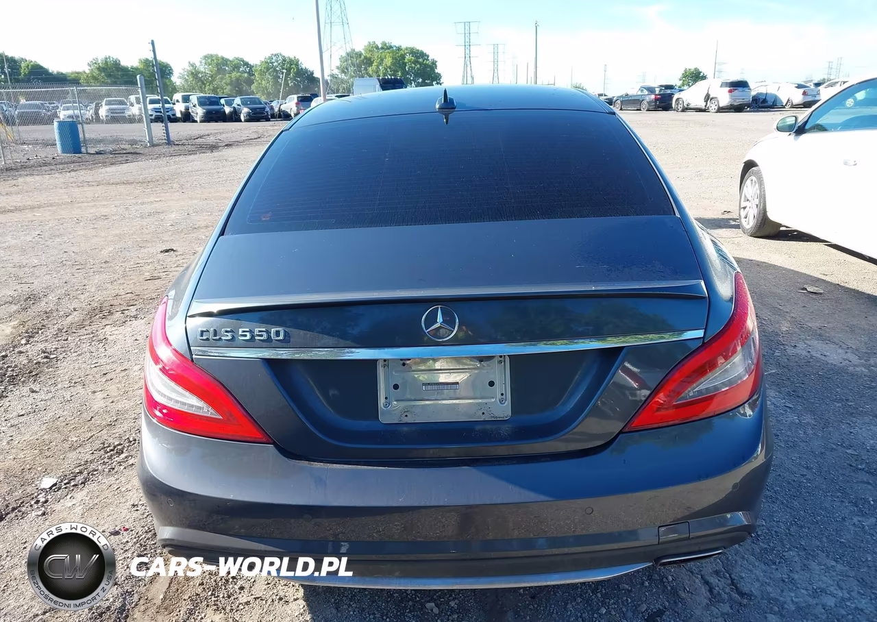 2013 Mercedes-Benz Cls 550 VIN:WDDLJ7DB0DA064690 - 16