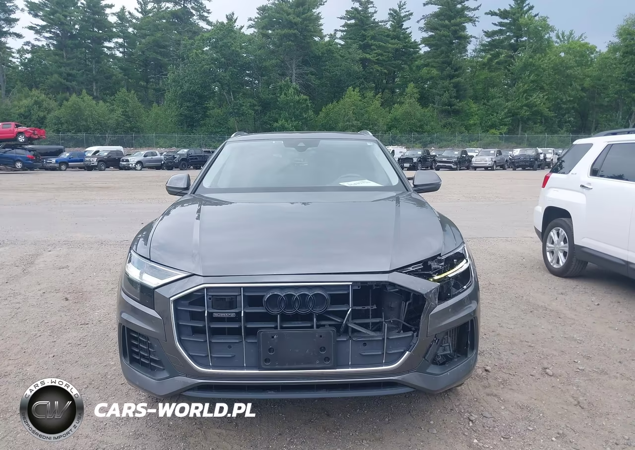 2019 Audi Q8 55 Premium VIN:WA1BVAF1XKD012887 - 17