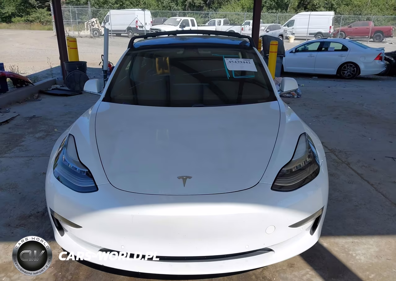 2019 Tesla Model 3 Long Range-Mid Range-Standard Range-Standard Range Plus VIN:5YJ3E1EA8KF300198 - 12