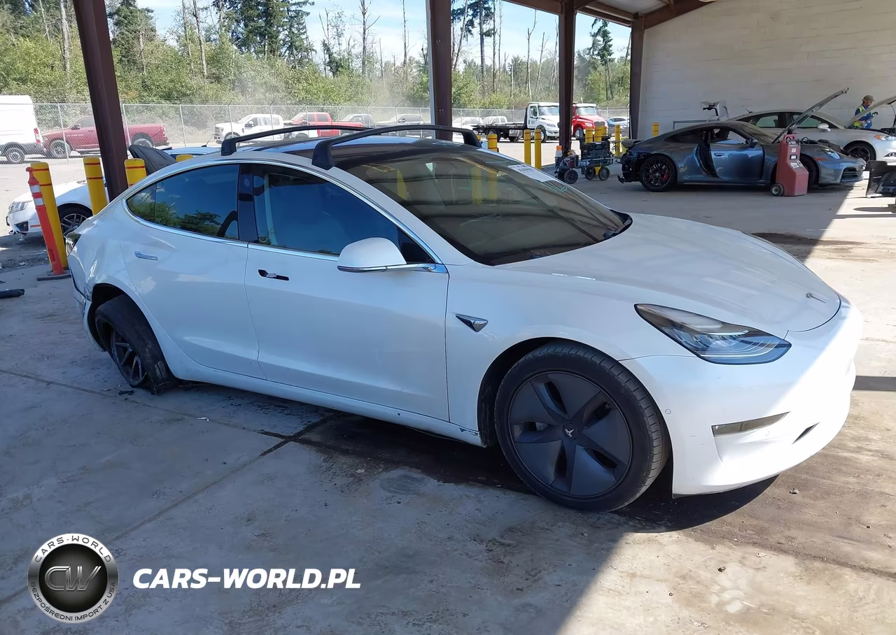 2019 Tesla Model 3 Long Range-Mid Range-Standard Range-Standard Range Plus VIN:5YJ3E1EA8KF300198 - 13