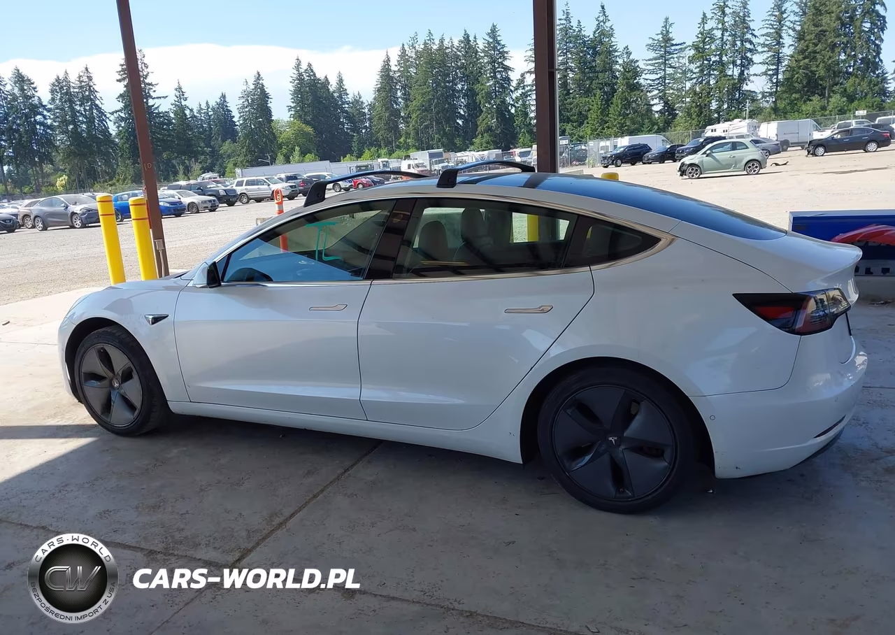 2019 Tesla Model 3 Long Range-Mid Range-Standard Range-Standard Range Plus VIN:5YJ3E1EA8KF300198 - 14