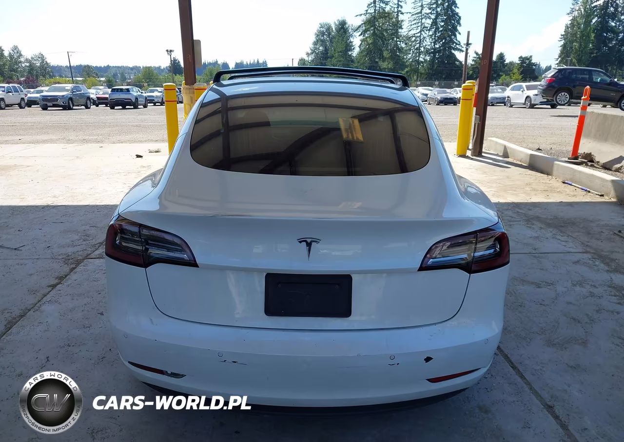2019 Tesla Model 3 Long Range-Mid Range-Standard Range-Standard Range Plus VIN:5YJ3E1EA8KF300198 - 16