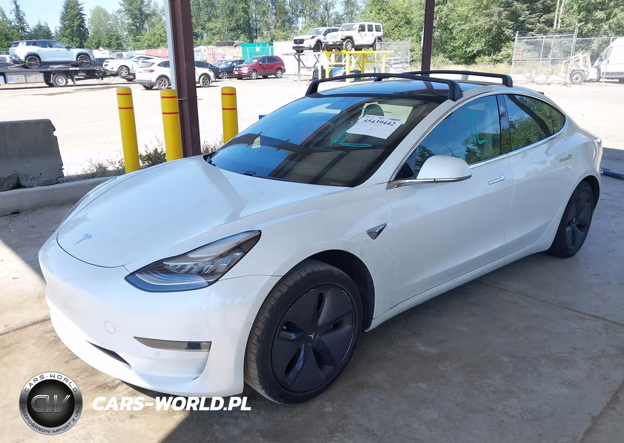 2019 Tesla Model 3 Long Range-Mid Range-Standard Range-Standard Range Plus VIN:5YJ3E1EA8KF300198 - 2