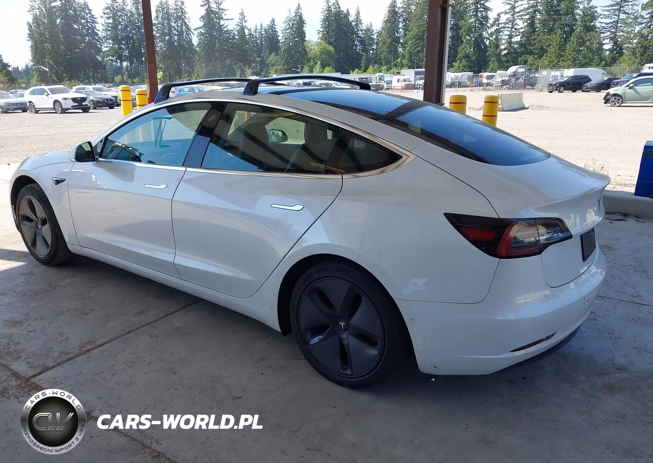 2019 Tesla Model 3 Long Range-Mid Range-Standard Range-Standard Range Plus VIN:5YJ3E1EA8KF300198 - 3