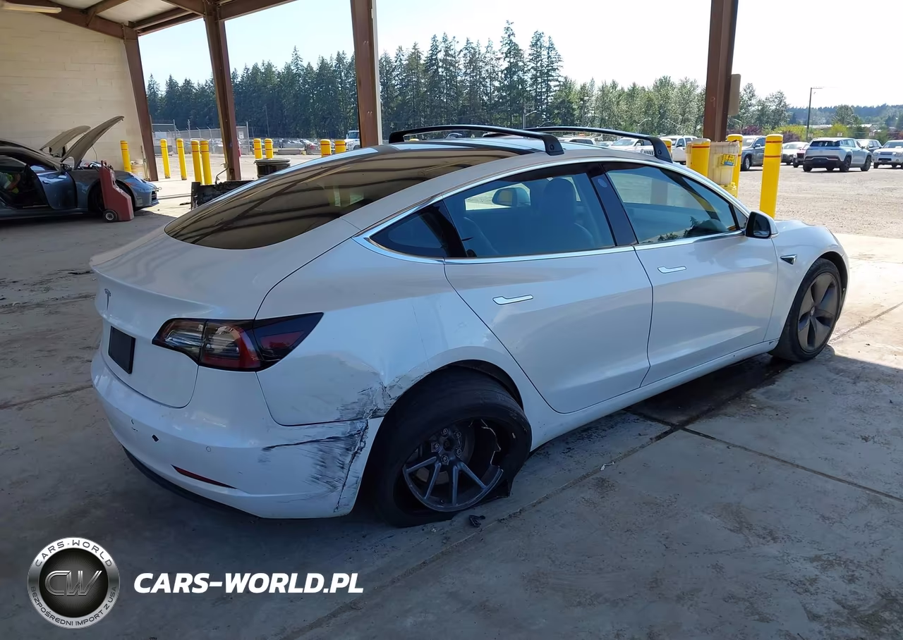 2019 Tesla Model 3 Long Range-Mid Range-Standard Range-Standard Range Plus VIN:5YJ3E1EA8KF300198 - 4
