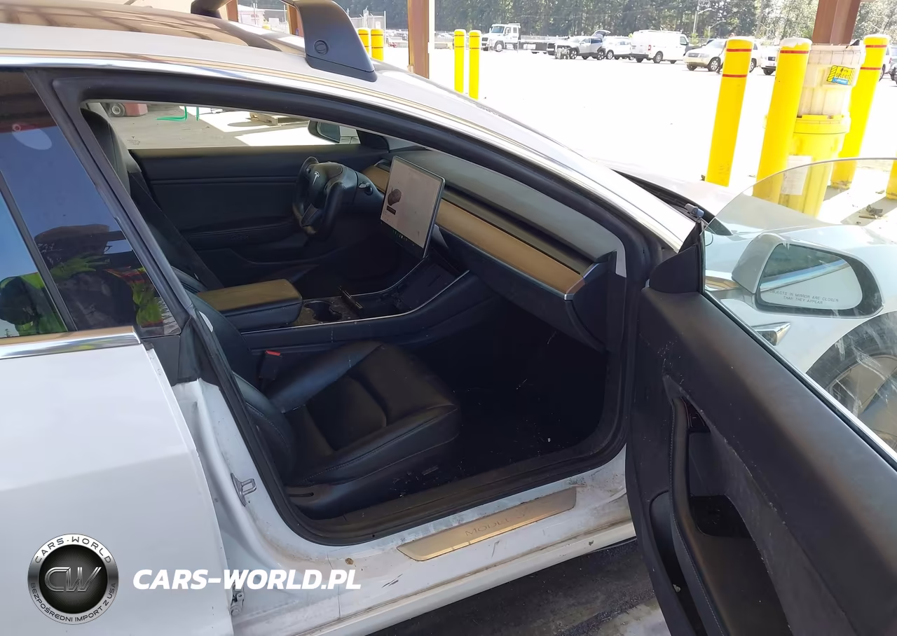 2019 Tesla Model 3 Long Range-Mid Range-Standard Range-Standard Range Plus VIN:5YJ3E1EA8KF300198 - 5