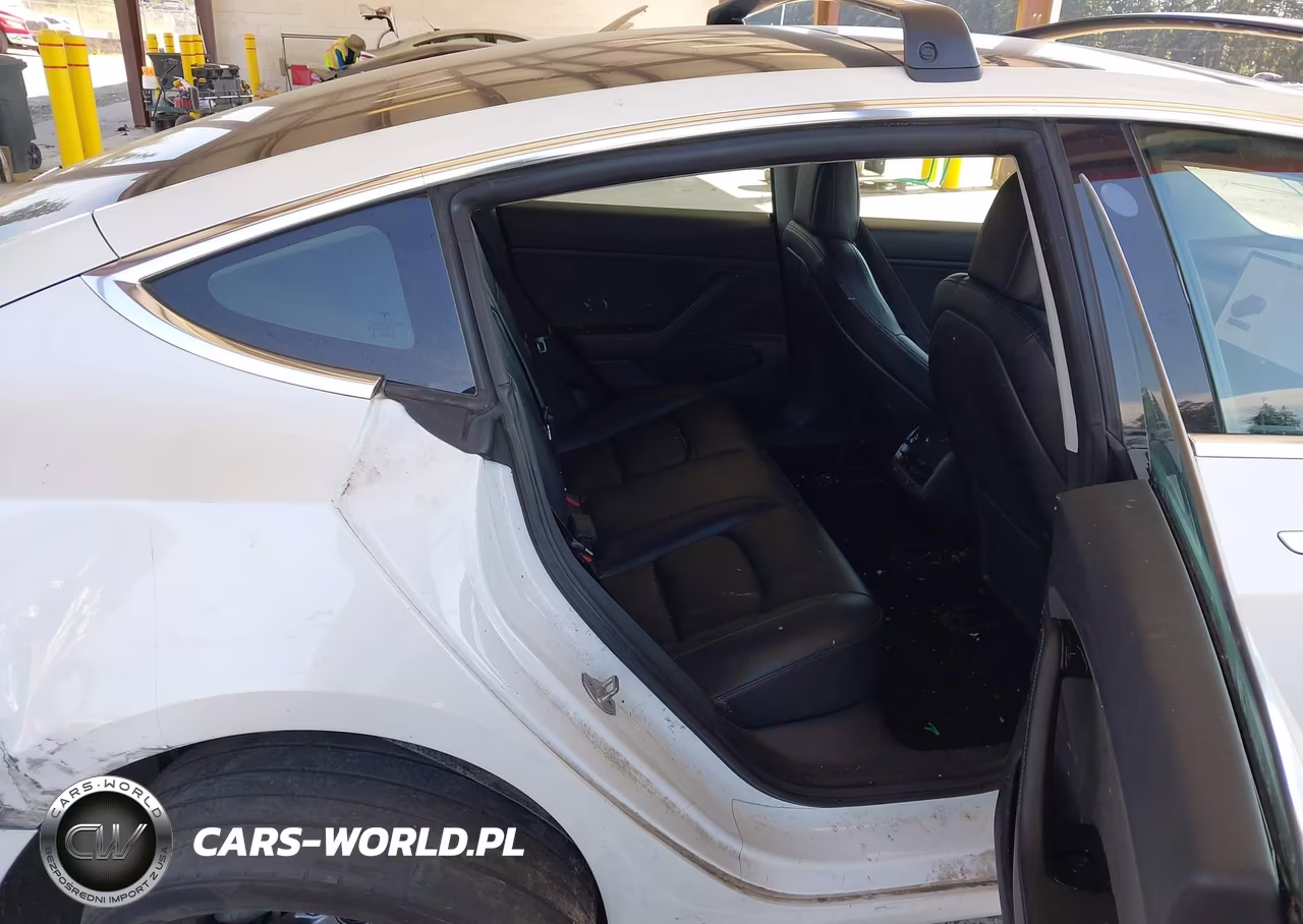 2019 Tesla Model 3 Long Range-Mid Range-Standard Range-Standard Range Plus VIN:5YJ3E1EA8KF300198 - 8