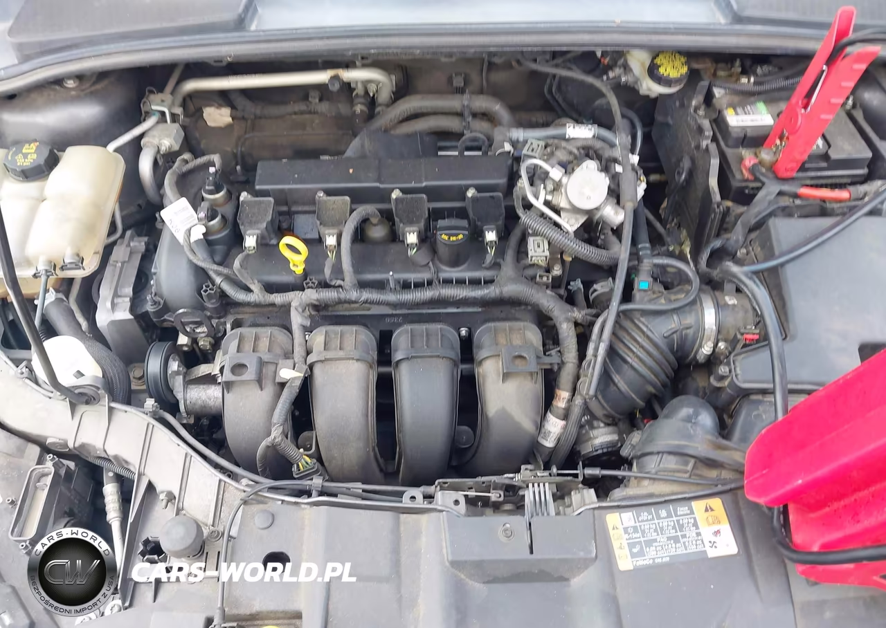 2016 Ford Focus Se VIN:1FADP3K25GL396518 - 10