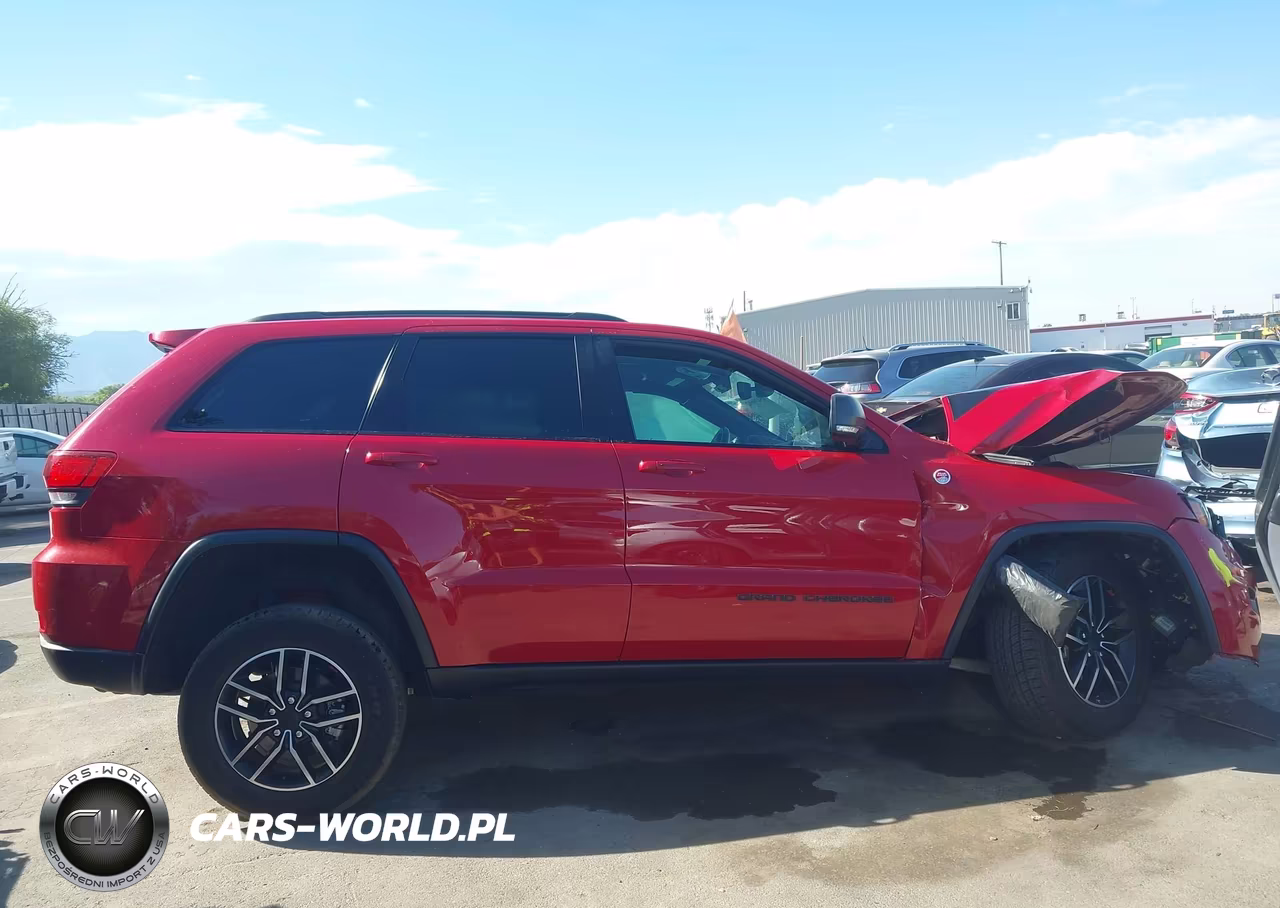 2019 Jeep Grand Cherokee Trailhawk 4X4 VIN:1C4RJFLT4KC609235 - 12