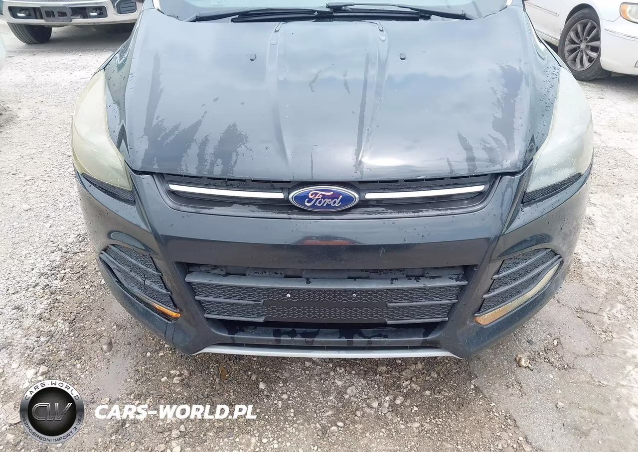2013 Ford Escape Se VIN:1FMCU0G93DUD70617 - 12