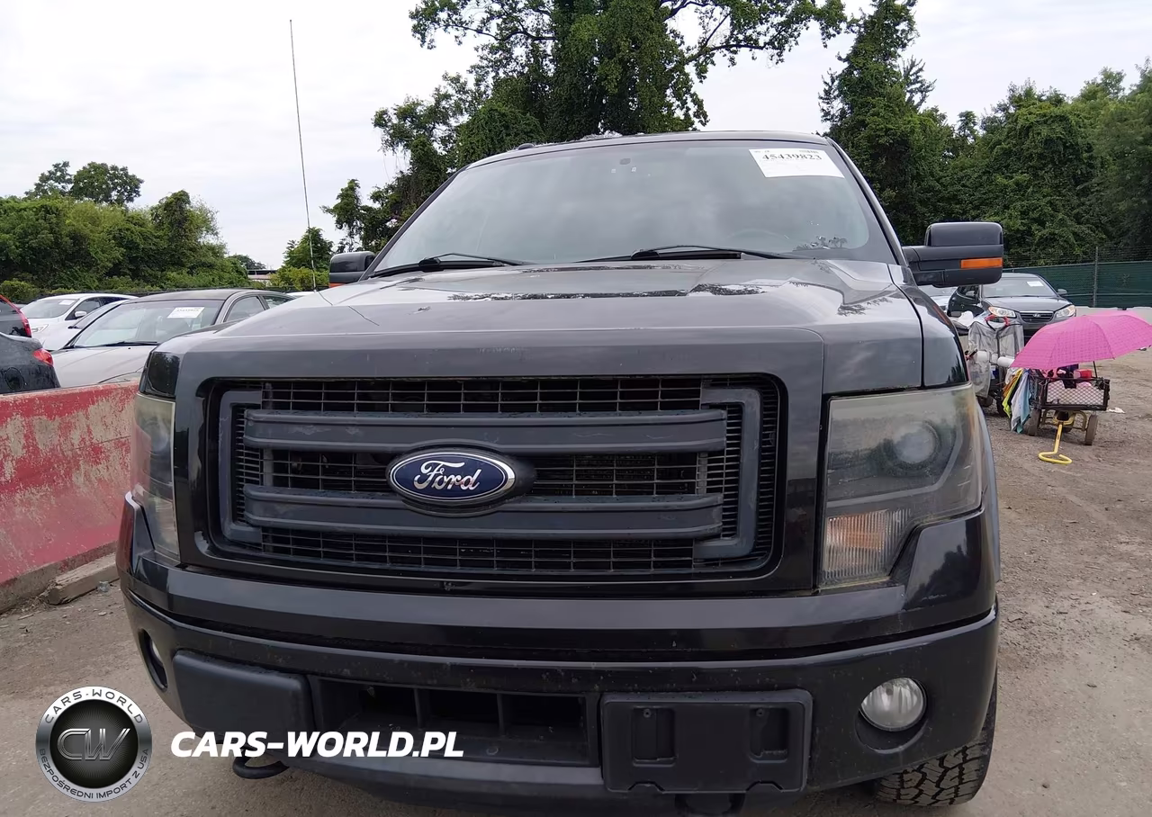 2013 Ford F-150 Fx4 VIN:1FTFW1ET0DFB81041 - 12