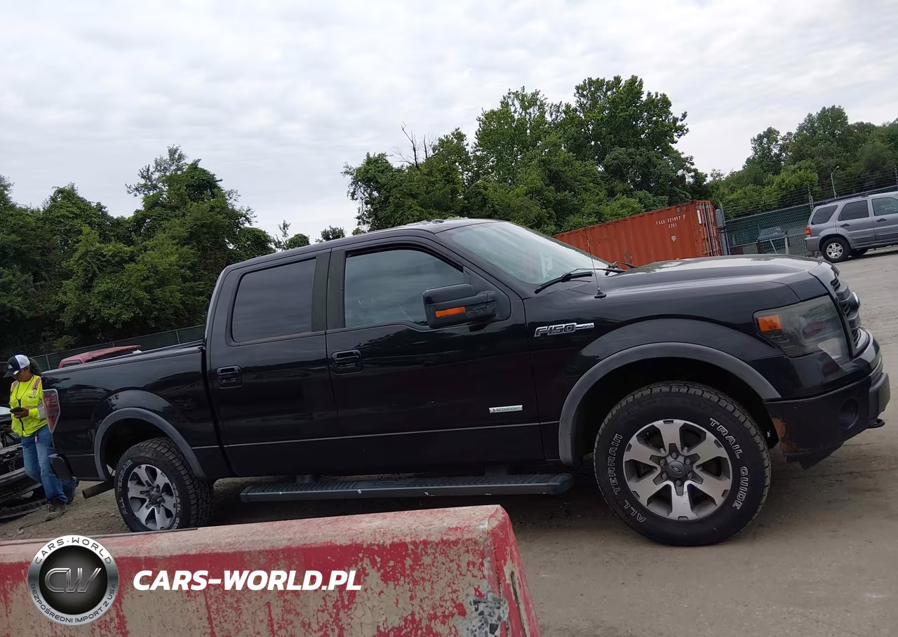2013 Ford F-150 Fx4 VIN:1FTFW1ET0DFB81041 - 13