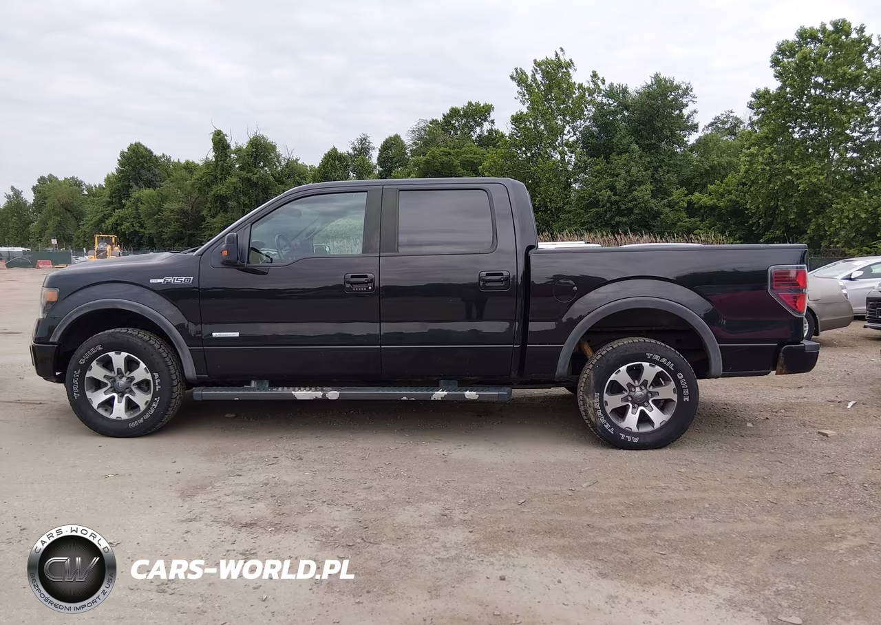 2013 Ford F-150 Fx4 VIN:1FTFW1ET0DFB81041 - 14