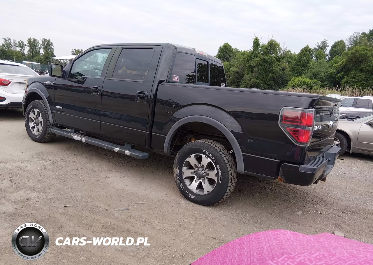 2013 Ford F-150 Fx4 VIN:1FTFW1ET0DFB81041 - 3