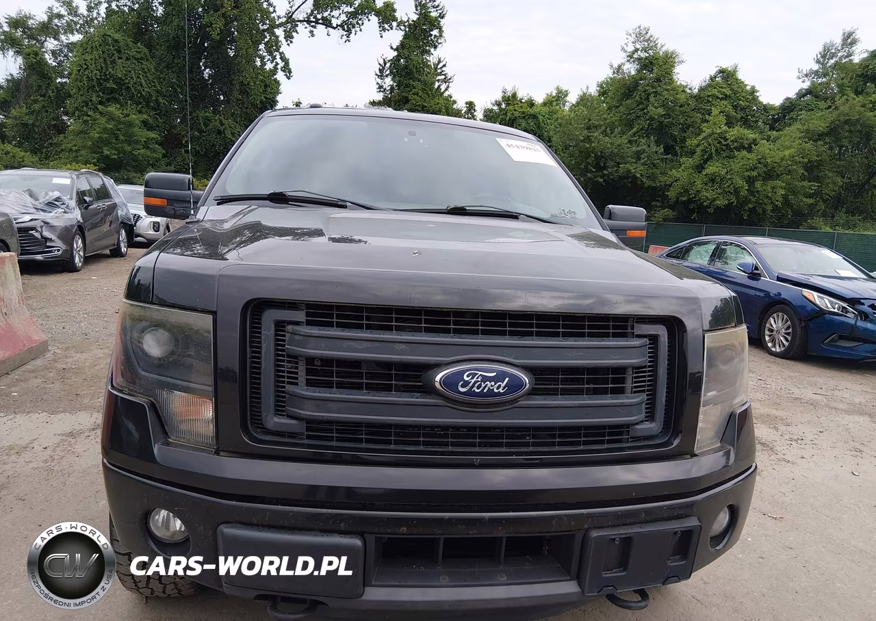 2013 Ford F-150 Fx4 VIN:1FTFW1ET0DFB81041 - 6