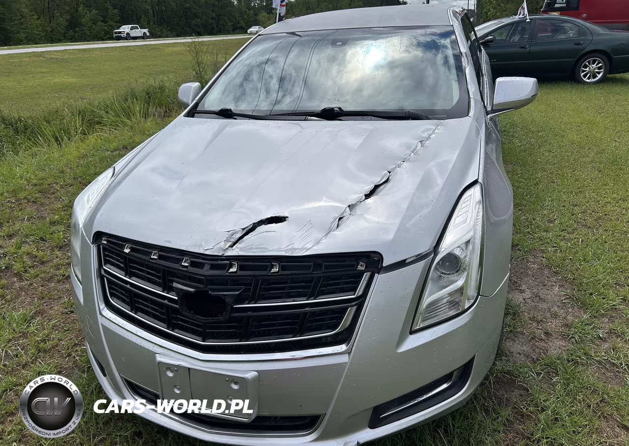 2017 Cadillac Xts V4U Coachbuilder Limousine VIN:2GEXG6U30H9550146 - 6