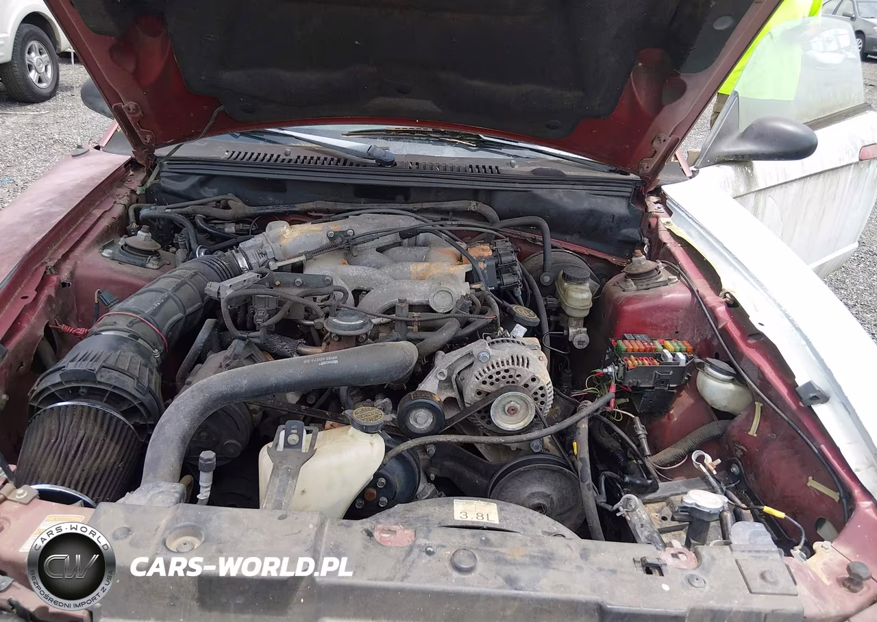 2000 Ford Mustang VIN:1FAFP4444YF114611 - 10