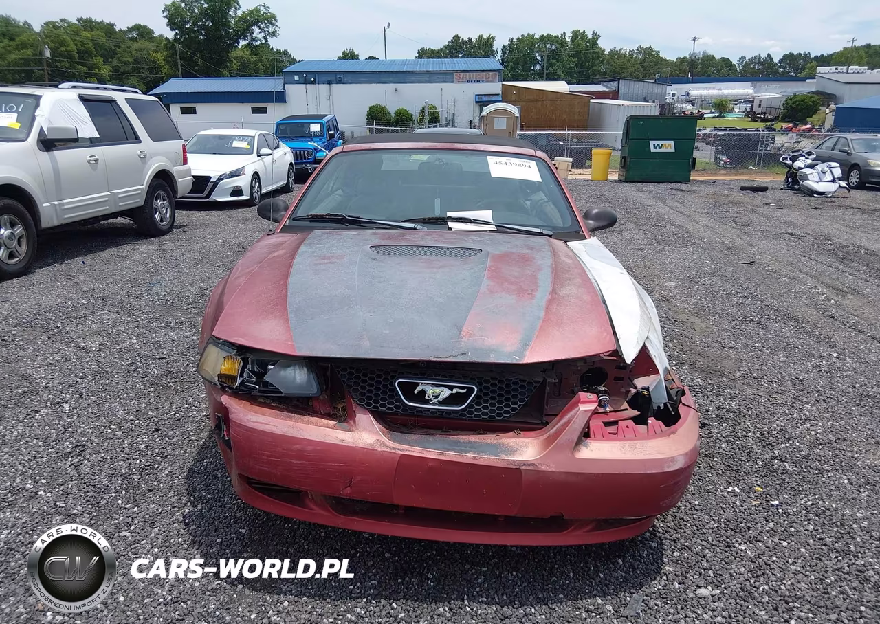 2000 Ford Mustang VIN:1FAFP4444YF114611 - 11