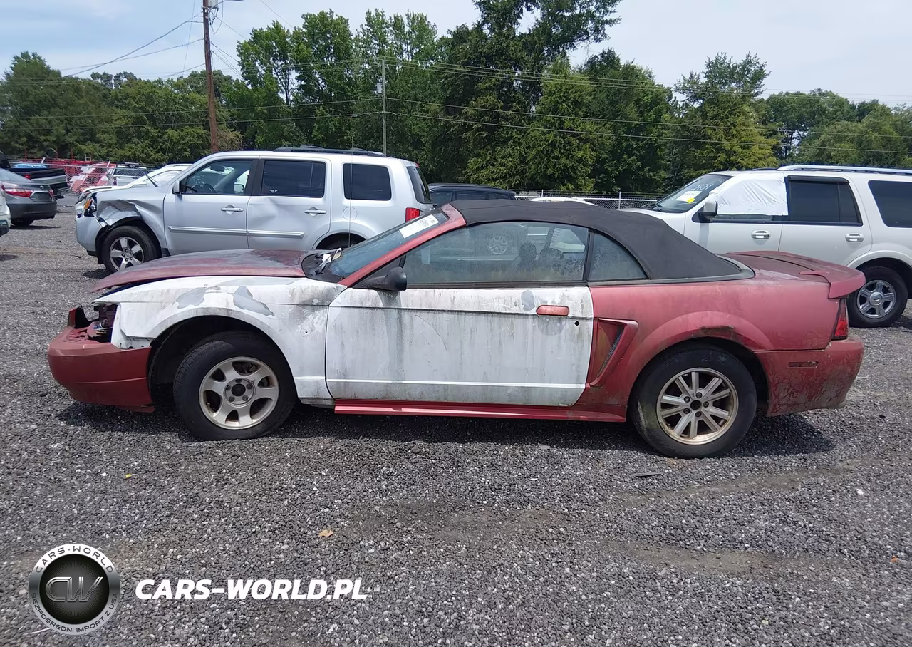 2000 Ford Mustang VIN:1FAFP4444YF114611 - 13