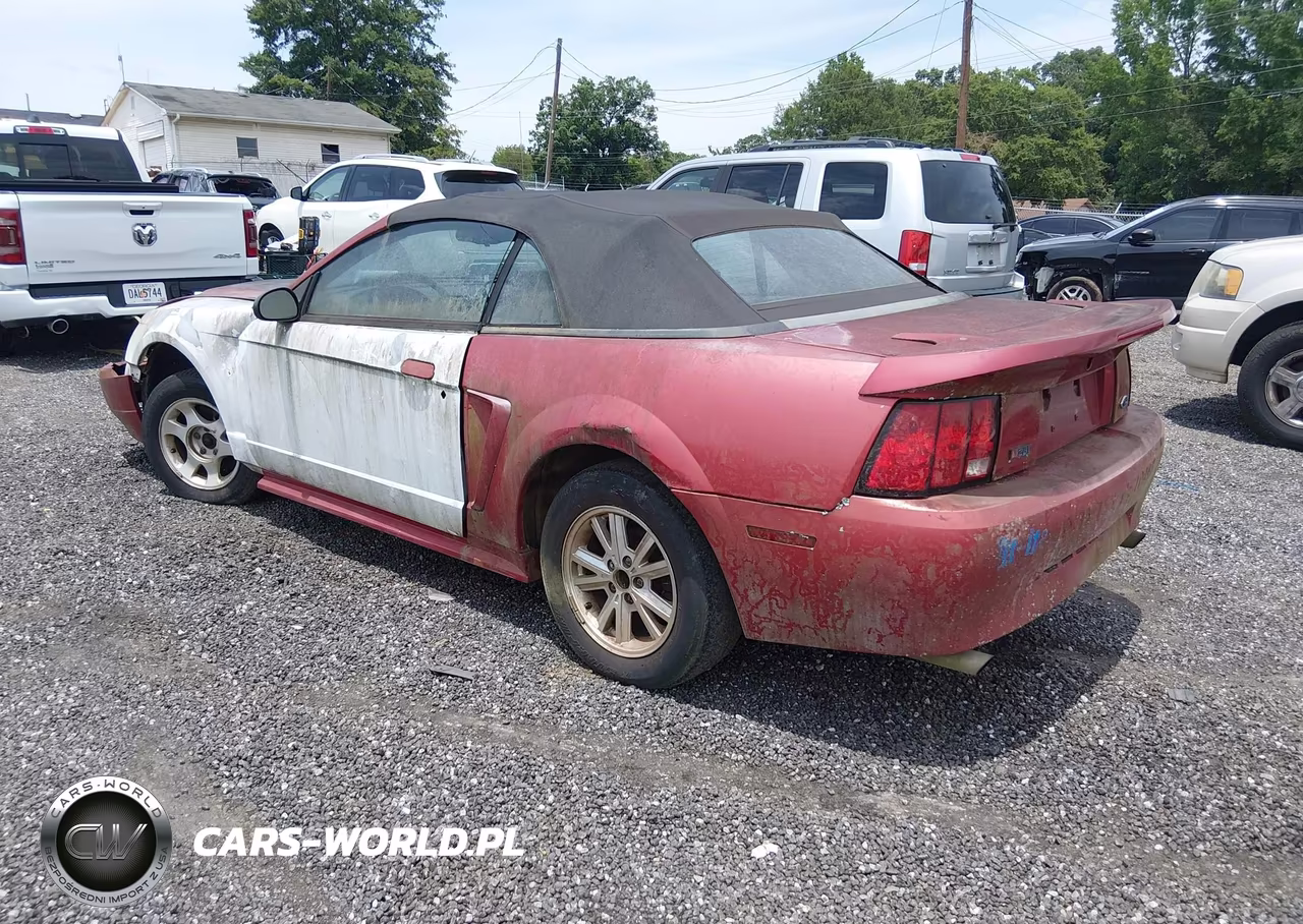 2000 Ford Mustang VIN:1FAFP4444YF114611 - 3