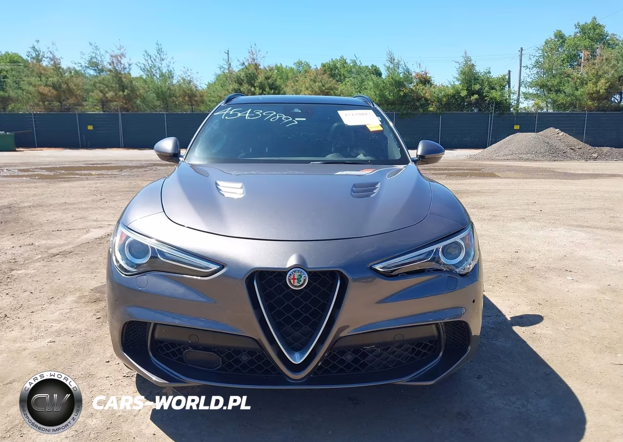 2018 Alfa Romeo Stelvio Quadrifoglio Awd VIN:ZASFAKEV5J7C15476 - 12