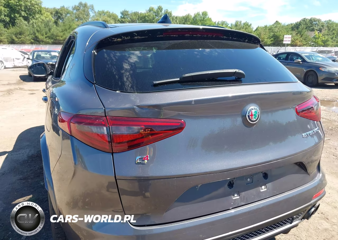 2018 Alfa Romeo Stelvio Quadrifoglio Awd VIN:ZASFAKEV5J7C15476 - 6