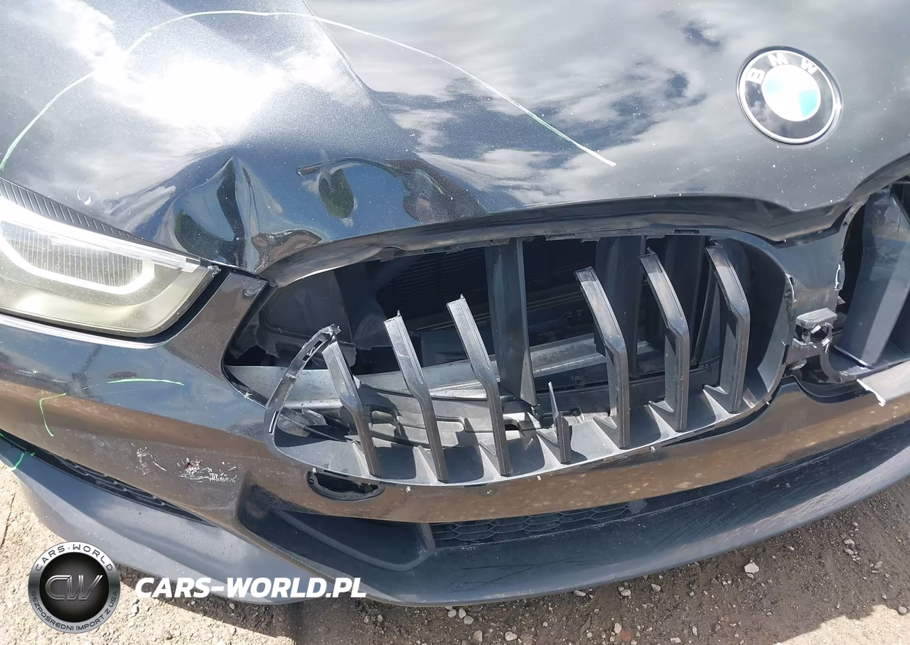 2021 BMW 840I Gran Coupe xDrive VIN:WBAGV4C01MCG46221 - 17
