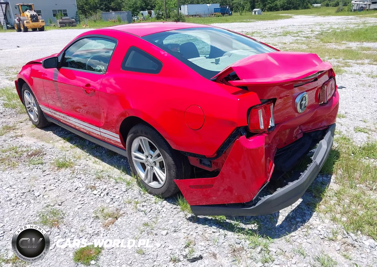 2010 Ford Mustang V6-V6 Premium VIN:1ZVBP8AN9A5150123 - 3
