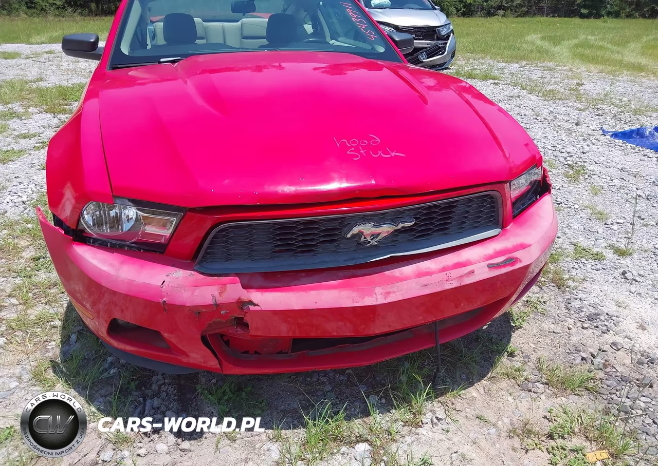 2010 Ford Mustang V6-V6 Premium VIN:1ZVBP8AN9A5150123 - 6